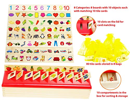 TOWO juguete a juego de clasificación de madera - Juguetes de clasificación de categoría para el aprendizaje temprano -material montessori Juguetes educativos de Madera regalo por 1 año bebe
