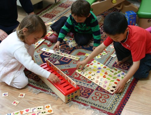 TOWO juguete a juego de clasificación de madera - Juguetes de clasificación de categoría para el aprendizaje temprano -material montessori Juguetes educativos de Madera regalo por 1 año bebe