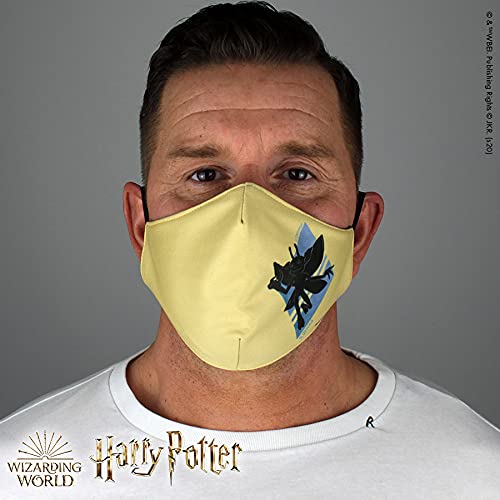 Warner Bros. Harry Potter Superheroes Mouthguard Masks Fabric Mask Adjustable Elastic Band Adult & Teen Comic Mask Nose Guard Mouth Noses (Cornish Pixies)