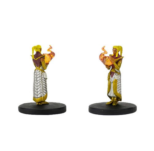 WizKids Dungeons & Dragons Icons of the Realms Starter Set