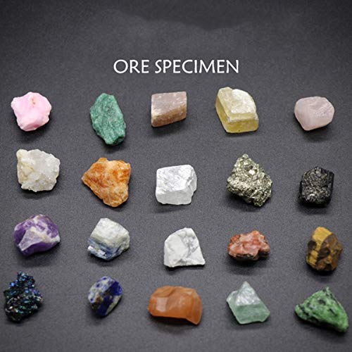 20 Piezas Colección de rocas minerales Naturales Especímenes de Minerales Colección Geología Educación Cristales