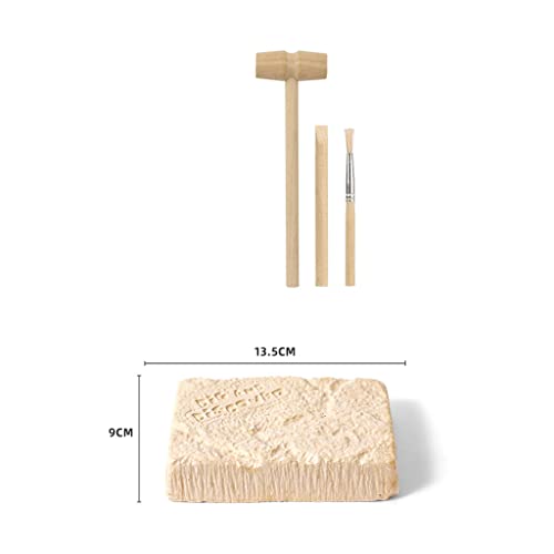 Colcolo Divertido Juguete de excavación de Dinosaurio, Modelo de Garra de Dinosaurio, Kit de excavación de Dinosaurio de Ciencia para niños, Juguetes,