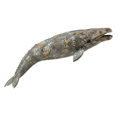 Collecta Ballena Gris