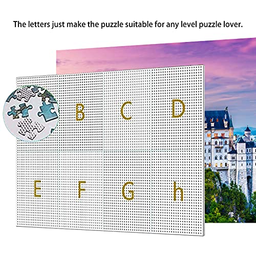 Cuteefun Puzzle 1000 Piezas Adultos Puzzle Arquitectura Castillo de Neuschwanstein Rompecabezas Interesante Desafío Cerebral Regalo Ideal para Niños Adolescentes
