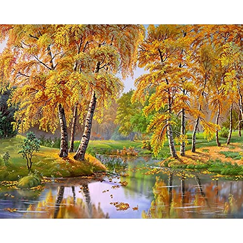 DIY pintura por números paisaje casa pintura al óleo para adultos sobre lienzo dibujo para colorear por número decoración del hogar A9 60x75cm
