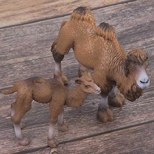 Juguete de modelo animal, 2 piezas de safari salvaje en miniatura Mundo silvestre Figuras de animales Decoración de escritorio Modelo de camello bactriano Regalos de decoración para el hogar para niño