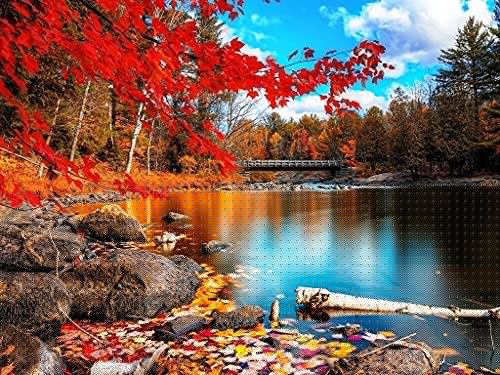 Pintura al óleo por números imágenes de paisaje otoñal por números bosque pintado a mano para colorear dibujar arte DIY regalo W10 50x65cm