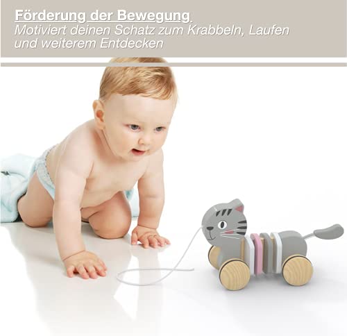 WoodyWood® Juguete para arrastrar de gato, juguete de madera para bebés y niños, juguete para niños a partir de 1 año para tirar, empujar, jugar, para promover el movimiento y la motricidad (gato)
