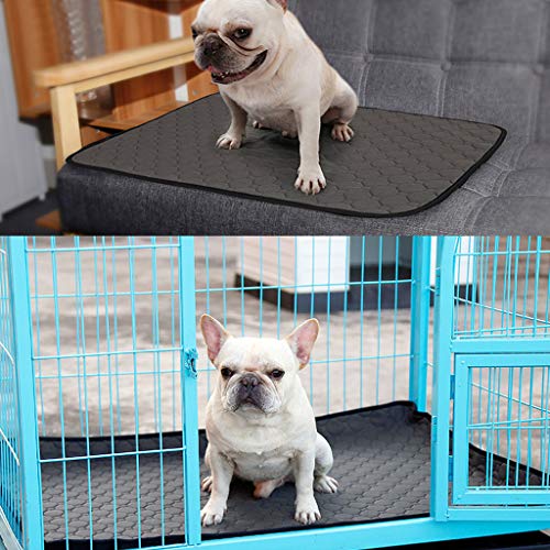 WT-DDJJK Almohadilla Absorbente de orina para Perros, Alfombrilla Lavable Impermeable para Mascotas, pañal ecológico para Cachorros, Conejos y Gatos